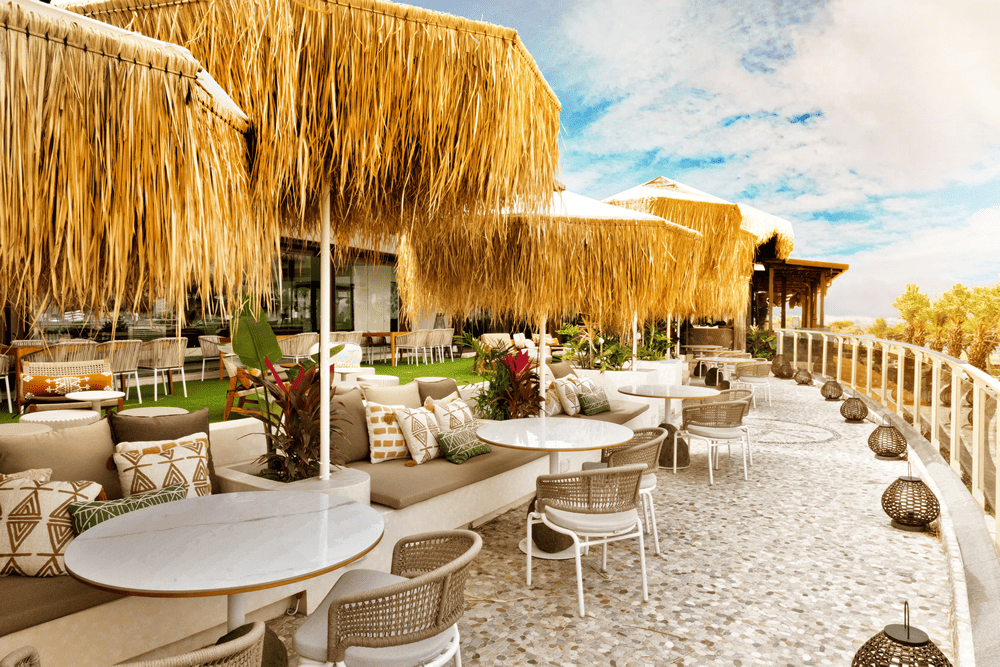 00015399.PNG (1000×667)