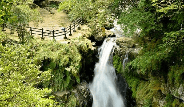 00015401.PNG (600×351)