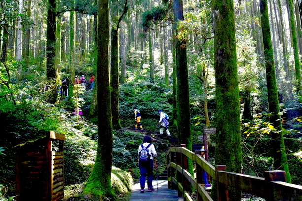 00015405.PNG (613×409)